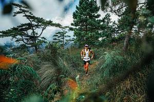 BIB: 
                            <button type="button" onclick="openModal(25258135)" class="btn btn-primary btn-sm float-right btn-popup" data-toggle="modal" data-target=".modal-high-quality">
                        <i class="fas fa-shopping-cart"></i> Add to Cart
                    </button>
                                            <button type="button" onclick="isThisMe(25258135, true)" class="btn btn-success btn-sm float-right btn-popup btn-isme hidden" data-toggle="tooltip" data-placement="bottom" title="นี่คือรูปของคุณใช่ไหม คลิกที่นี่เพื่อเอาเข้าอัลบั้ม">
                        <i class="fas fa-plus"></i> Add to album
                    </button>
                    <button type="button" onclick="isThisMe(25258135, false)" class="btn btn-warning btn-sm float-right btn-popup btn-isnotme hidden">
                        <i class="fas fa-ban"></i> Remove from album
                    </button>